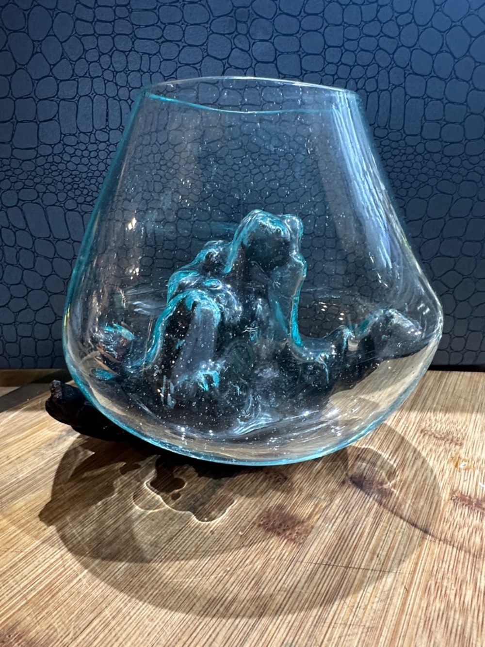 Blown Molten Glass and Driftwood Decorative Bowl, Vase or Terrarium. 2 piece
